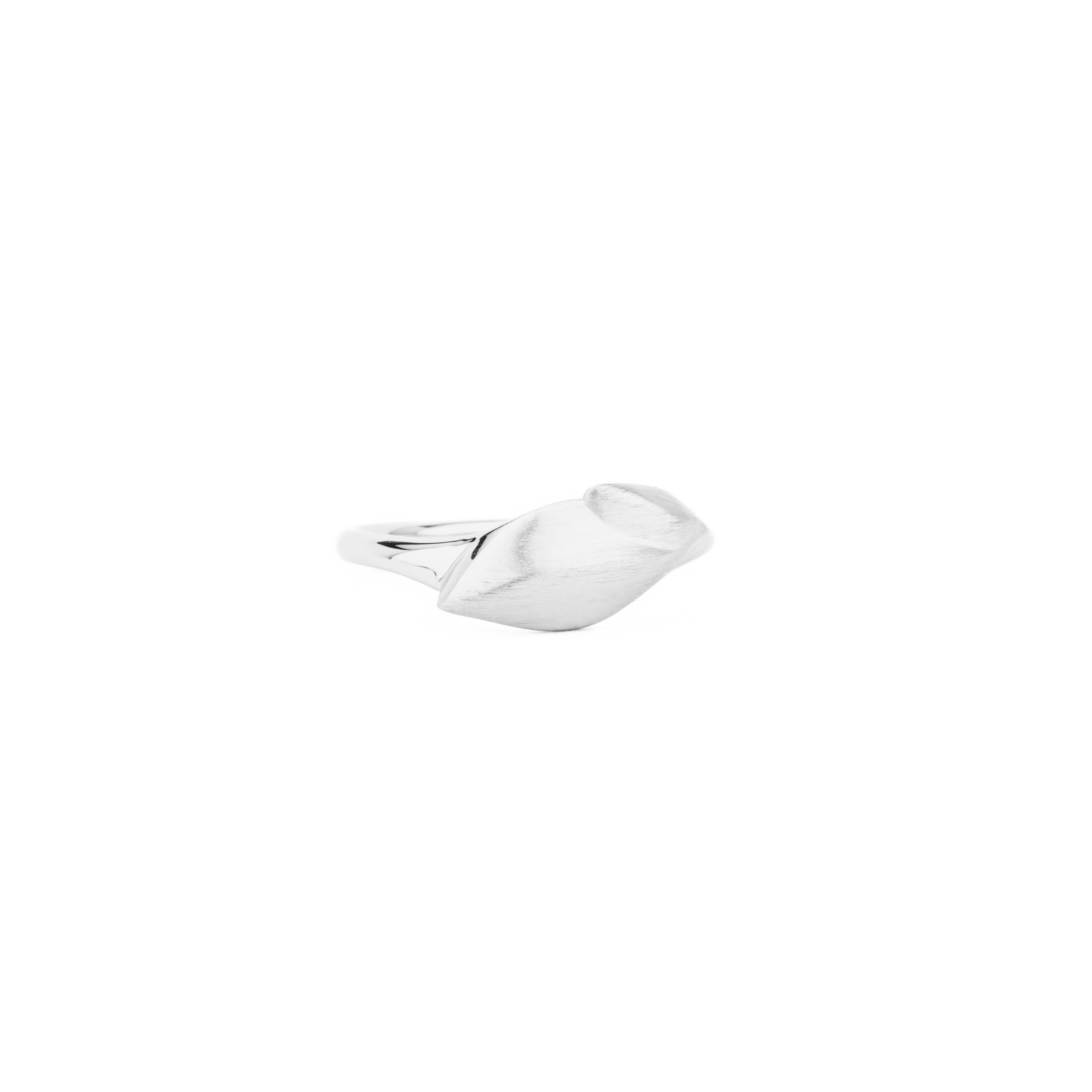 Laurel leaf in satin finish 14k white gold