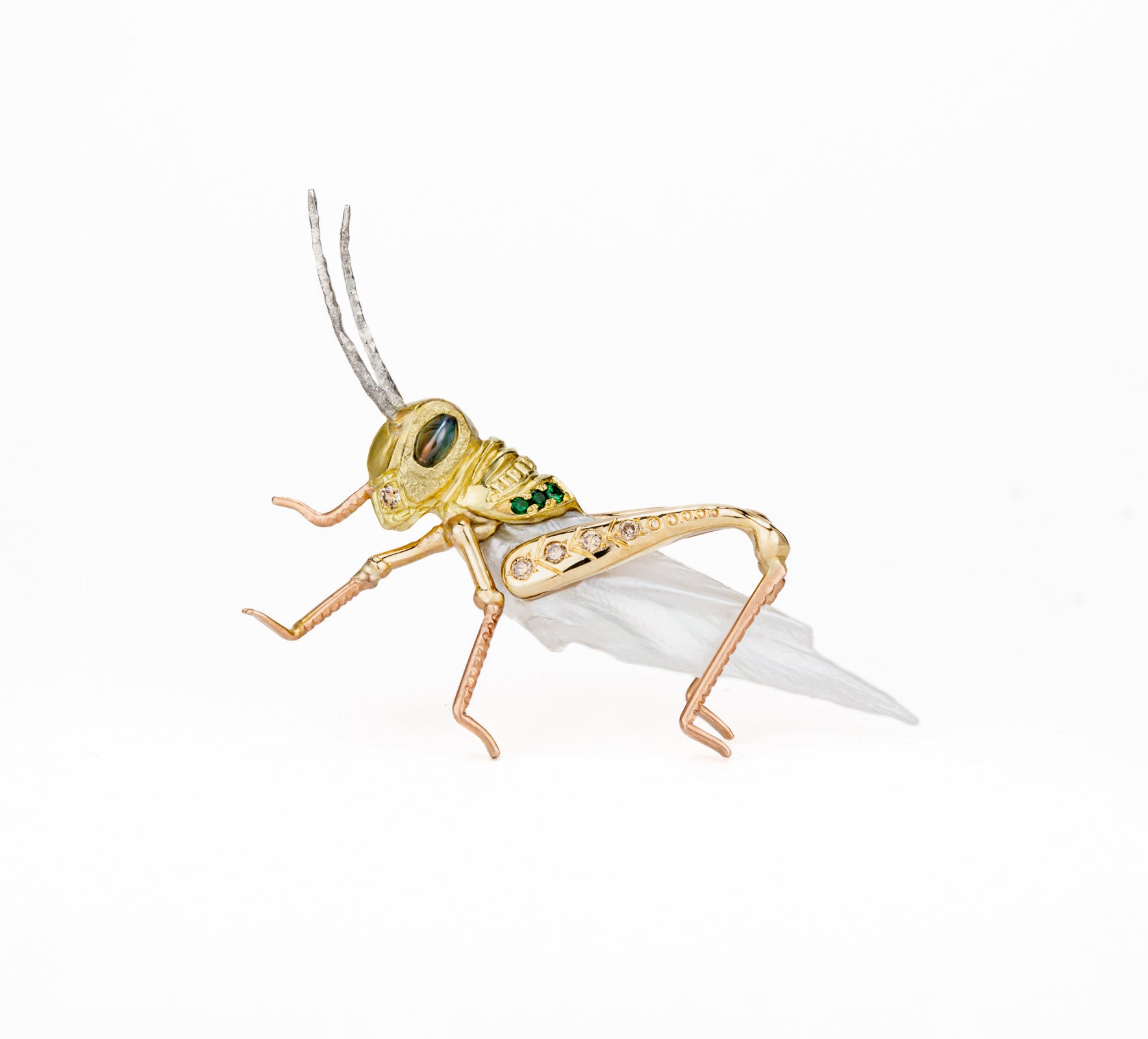Patience, Young Grasshopper
