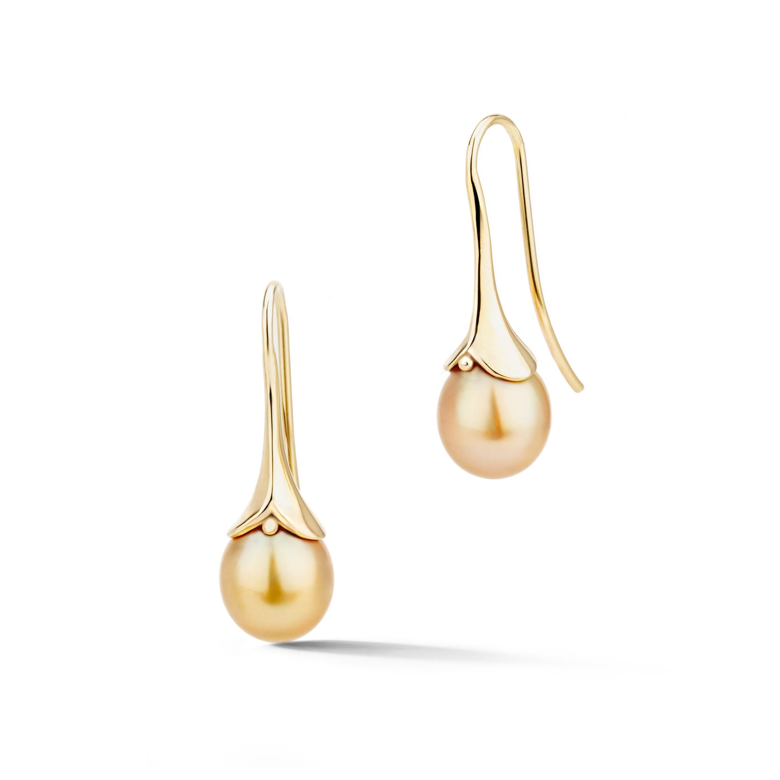 Golden South Sea pearl drop earrings in 14k yellow gold with French wire backs